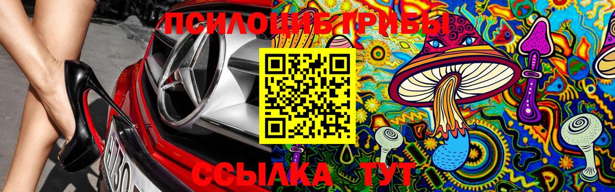 Одинцово  Галлюциногенные грибы GOLDEN TEACHER  Псилоцибиновые грибы мицелий  Вход с VPN 